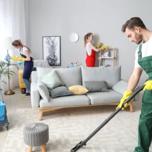 Domestic Services Domestic Services